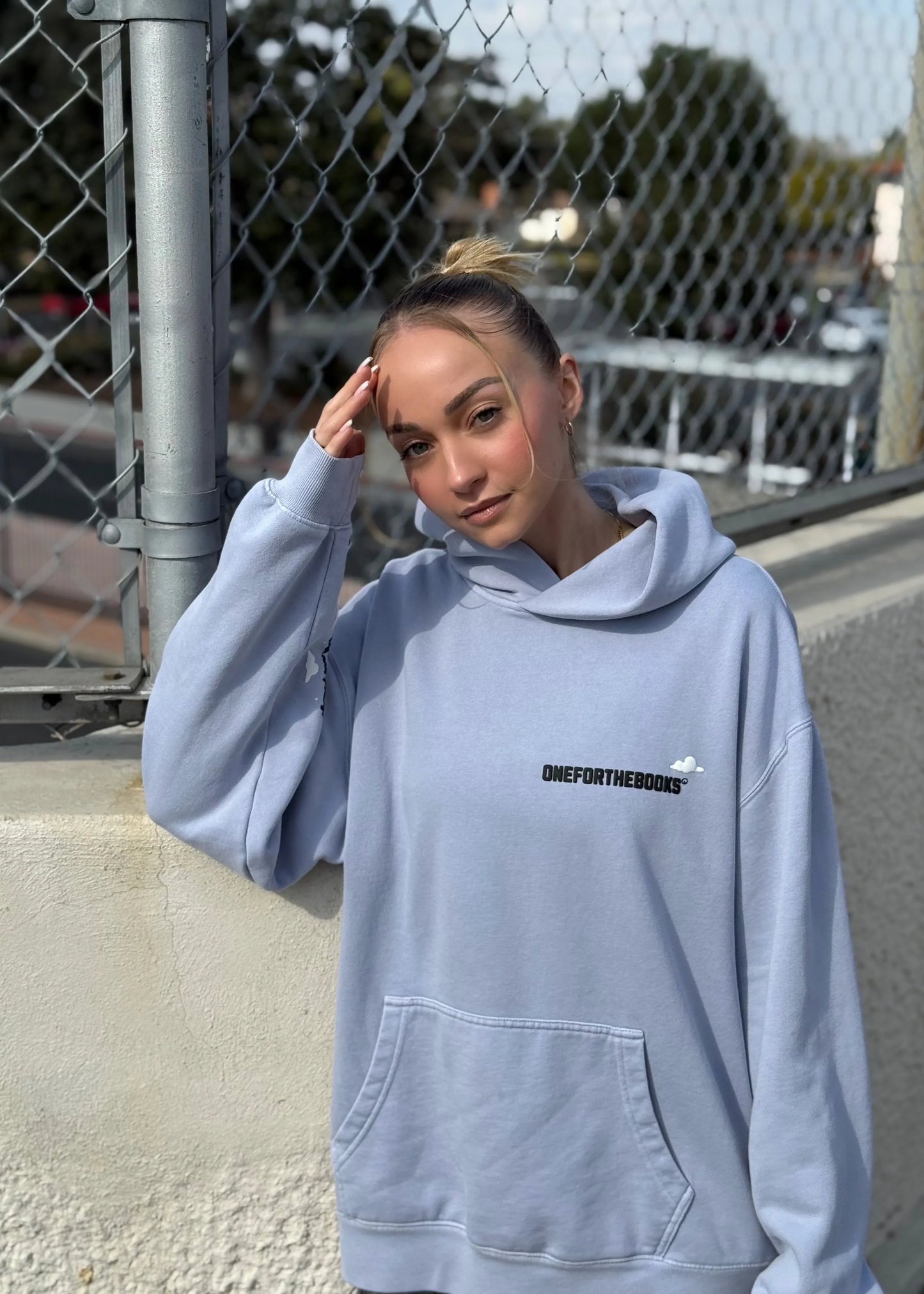 OFTB Catch Flights and Feelings Hoodie (Powder)