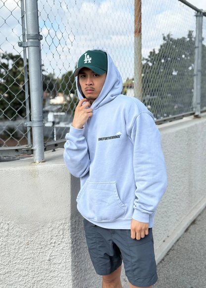 OFTB Catch Flights and Feelings Hoodie (Powder)